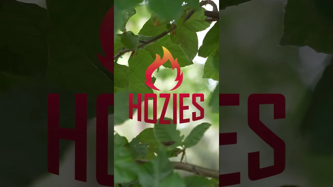Hondenspeeltje van Brandweerslang, M – Hozies Nelly Niles - Afbeelding 2