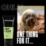 Hondenshampoo voor Intensieve Reiniging, 250 ml – Animology Deep Clean Intensive - Afbeelding 2