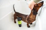 Hondenshampoo voor Intensieve Reiniging, 250 ml – Animology Deep Clean Intensive - Afbeelding 4
