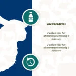 Energiebolus voor Schapen en Geiten, 24 Stuks – Excellent Ener Bolus Schaap & Geit - Afbeelding 5