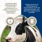 Uierbolus voor Melkvee met Zwarte Knoflook, 4 x 60 g – Direct Bolus Udder Support - Afbeelding 4