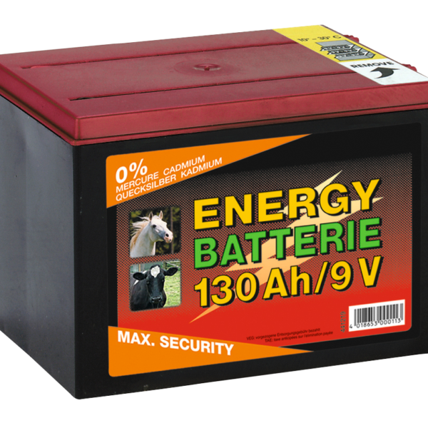Schrikdraadbatterij 9 V, 130 Ah, 16 x 19 x 13 cm – ZoneGuard EG super