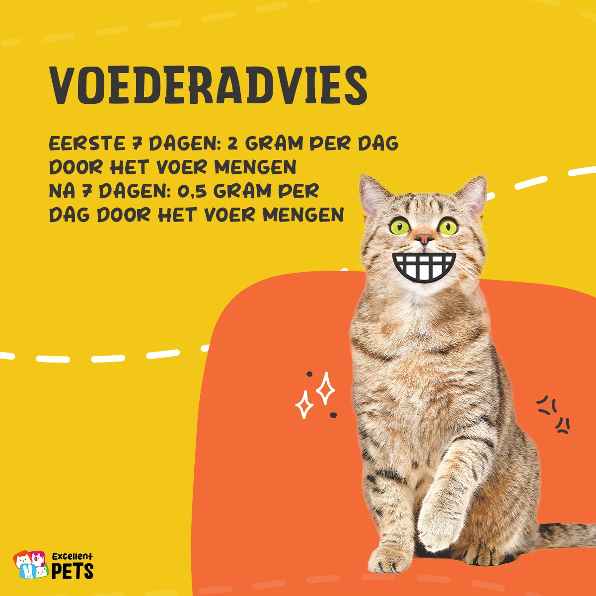 Lysinepoeder voor Katten met Vitamine B6, 100 g – Excellent Pets L-Lysine - Afbeelding 2