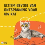 Kattenkruidspray voor Speeltjes en Reismanden, 150 ml – Excellent Pets Catnip Spray - Afbeelding 4