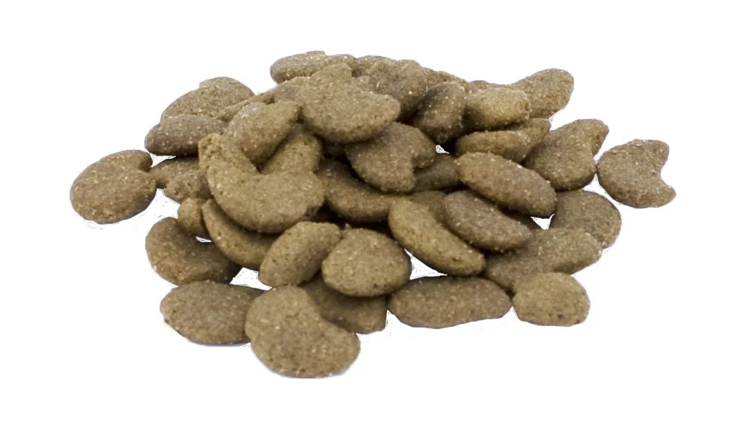 Kattensupplement in Brokvorm met Prebiotica, 60 g – Excellent Pets Cat Parex - Afbeelding 2