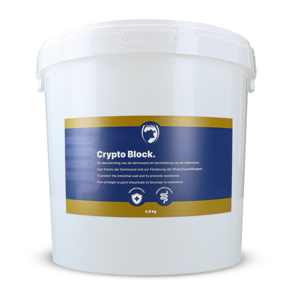 Voedingssupplement voor Kalveren en Lammeren, 4,8 kg – Excellent Crypto Block