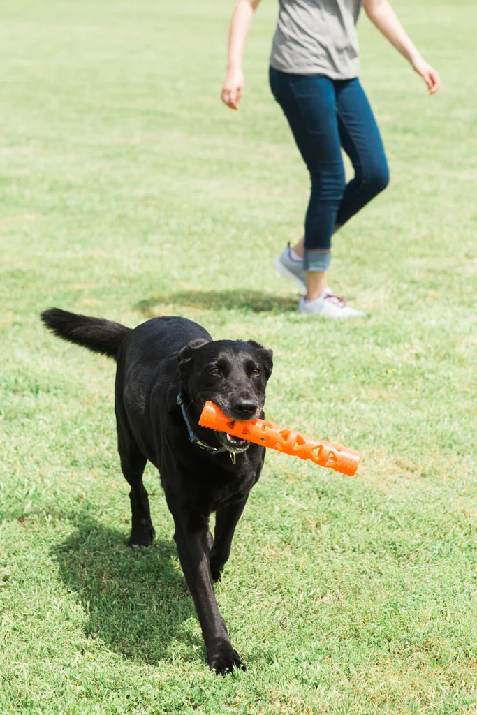 Apporteerstok van Zacht Rubber, Drijvend, 31 cm – Chuckit! Air Fetch Stick - Afbeelding 5