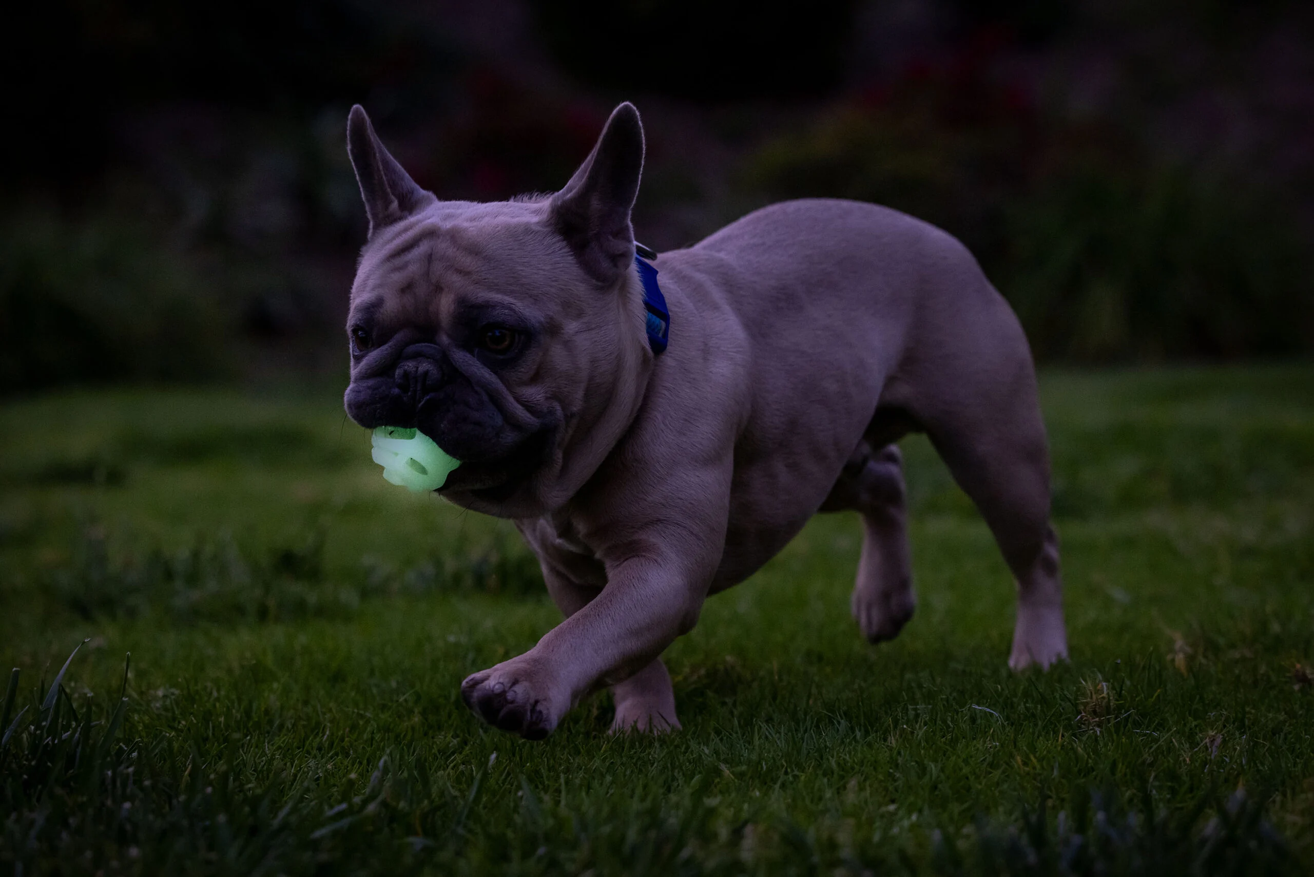 Lichtgevende Hondenbal M, Drijvend, 6 cm, 2 Stuks – Chuckit! Air Glow Fetch Ball - Afbeelding 4