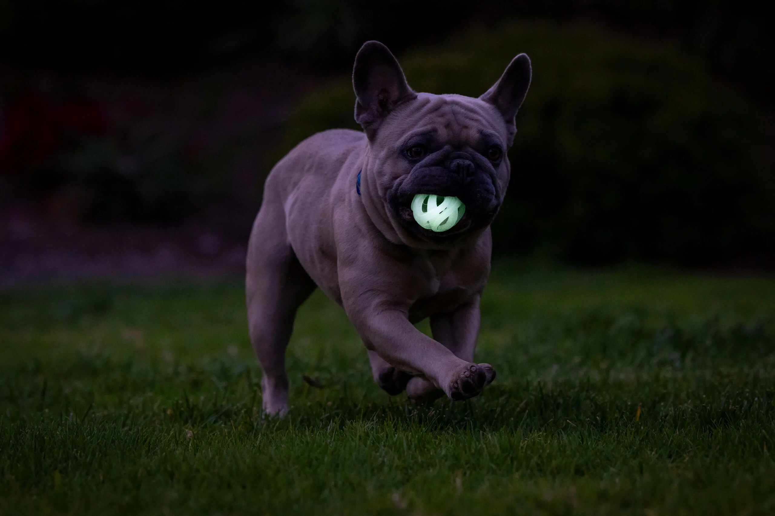 Lichtgevende Hondenbal M, Drijvend, 6 cm, 2 Stuks – Chuckit! Air Glow Fetch Ball - Afbeelding 5