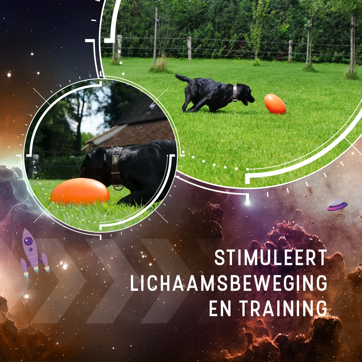 Apporteerspeelgoed voor Honden, Drijvend, 30 cm, Oranje – Dog Comets Pan-Stars - Afbeelding 5