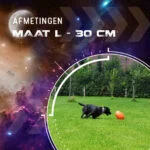 Apporteerspeelgoed voor Honden, Drijvend, 30 cm, Oranje – Dog Comets Pan-Stars - Afbeelding 3