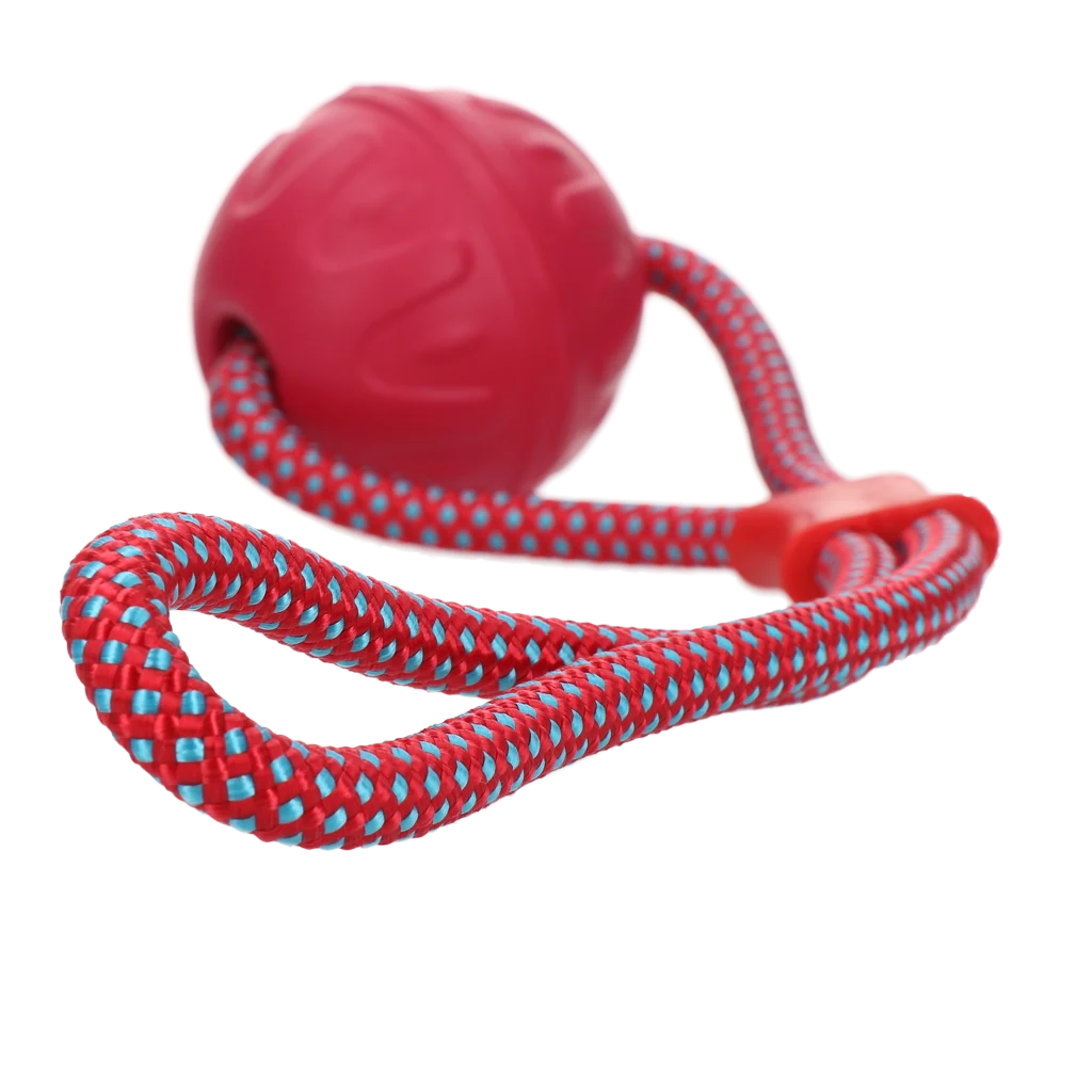 Hondenbal met Reflecterend Touw, Drijvend, Roze – Dog Comets Vortex Loop - Afbeelding 2