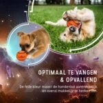 Tennisbal voor Honden, Drijvend, Oranje S, Ø 5 cm – Dog Comets Starlight - Afbeelding 4