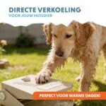 Waterfontein met Voetpedaal en Tuinslangaansluiting, Beige – Coolpets Splash Water Fountain - Afbeelding 2