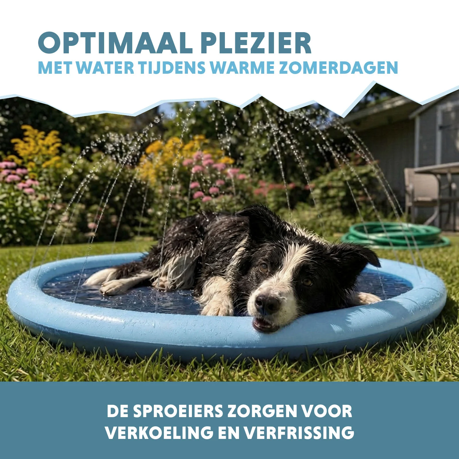 Sproeimat voor Honden met Tuinslangaansluiting, M 150 cm – Coolpets Splash Sprinkler Pad - Afbeelding 4