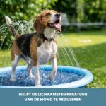Sproeimat voor Honden met Tuinslangaansluiting, M 150 cm – Coolpets Splash Sprinkler Pad - Afbeelding 6