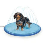Sproeimat voor Honden met Tuinslangaansluiting, S 100 cm – Coolpets Splash Sprinkler Pad