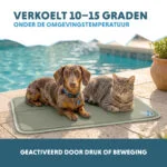 Koelmat voor Honden met Vaste Gel, Olijfgroen, M 76 x 50 cm – Coolpets Gel Cooling Mat - Afbeelding 4