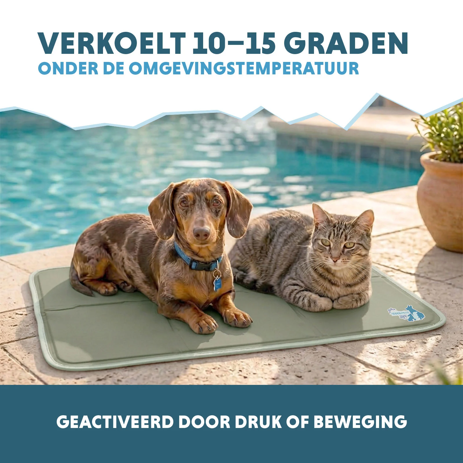 Koelmat voor Honden met Vaste Gel, Olijfgroen, M 76 x 50 cm – Coolpets Gel Cooling Mat - Afbeelding 4