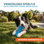 Verkoelend Speelbot voor Honden, Vulbaar met Water, 14 x 6,7 x 3,8 cm – Coolpets Ice Bone - Afbeelding 5