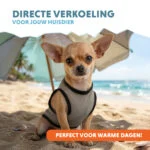 Koelvest voor Honden, Watergeactiveerd, XS, Ruglengte 20 cm – Coolpets Cooling Vest - Afbeelding 2