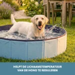 Hondenzwembad met Antislipbodem, Opvouwbaar, ø 120 x 30 cm – Coolpets Splash Dog Pool - Afbeelding 6