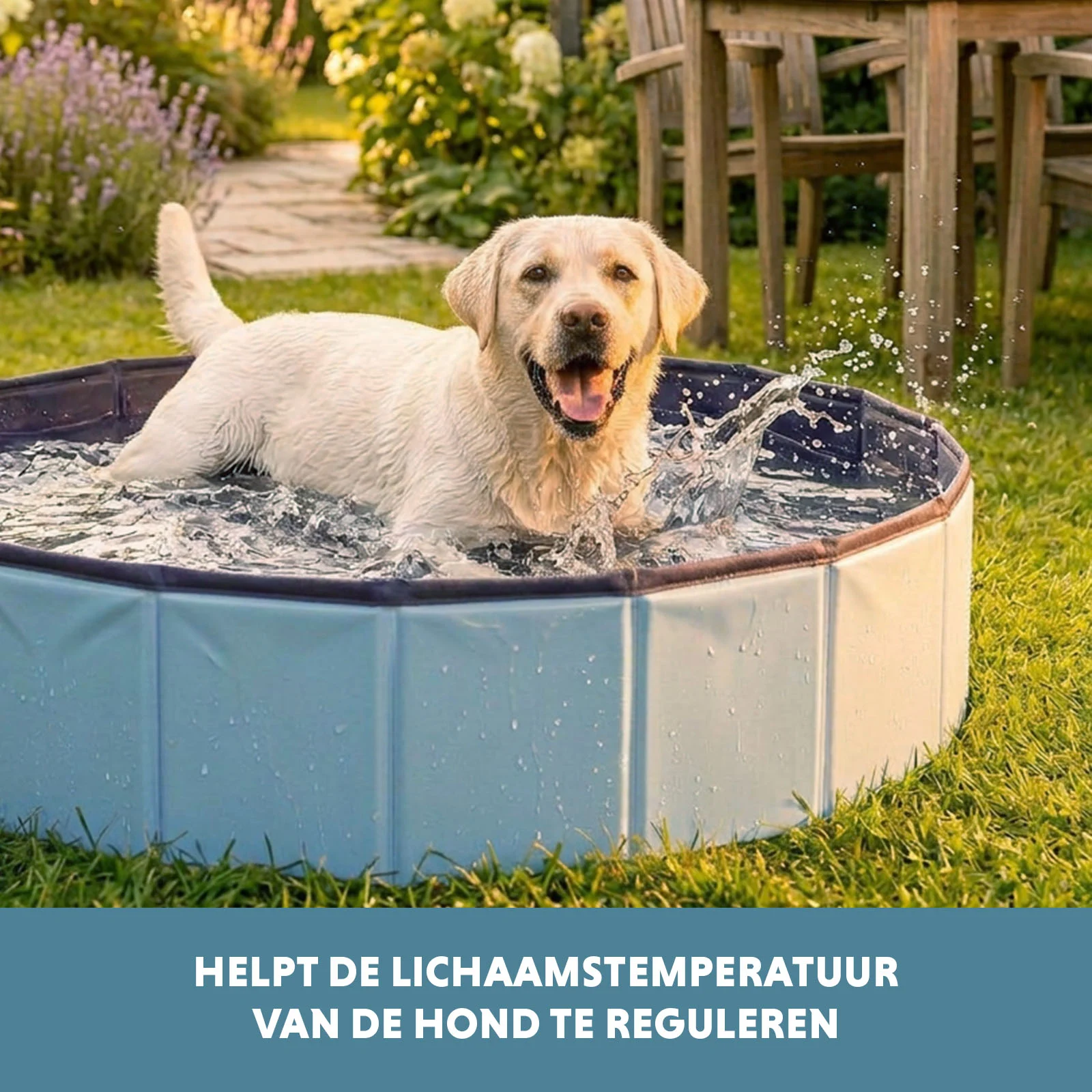 Hondenzwembad met Antislipbodem, Opvouwbaar, ø 120 x 30 cm – Coolpets Splash Dog Pool - Afbeelding 6