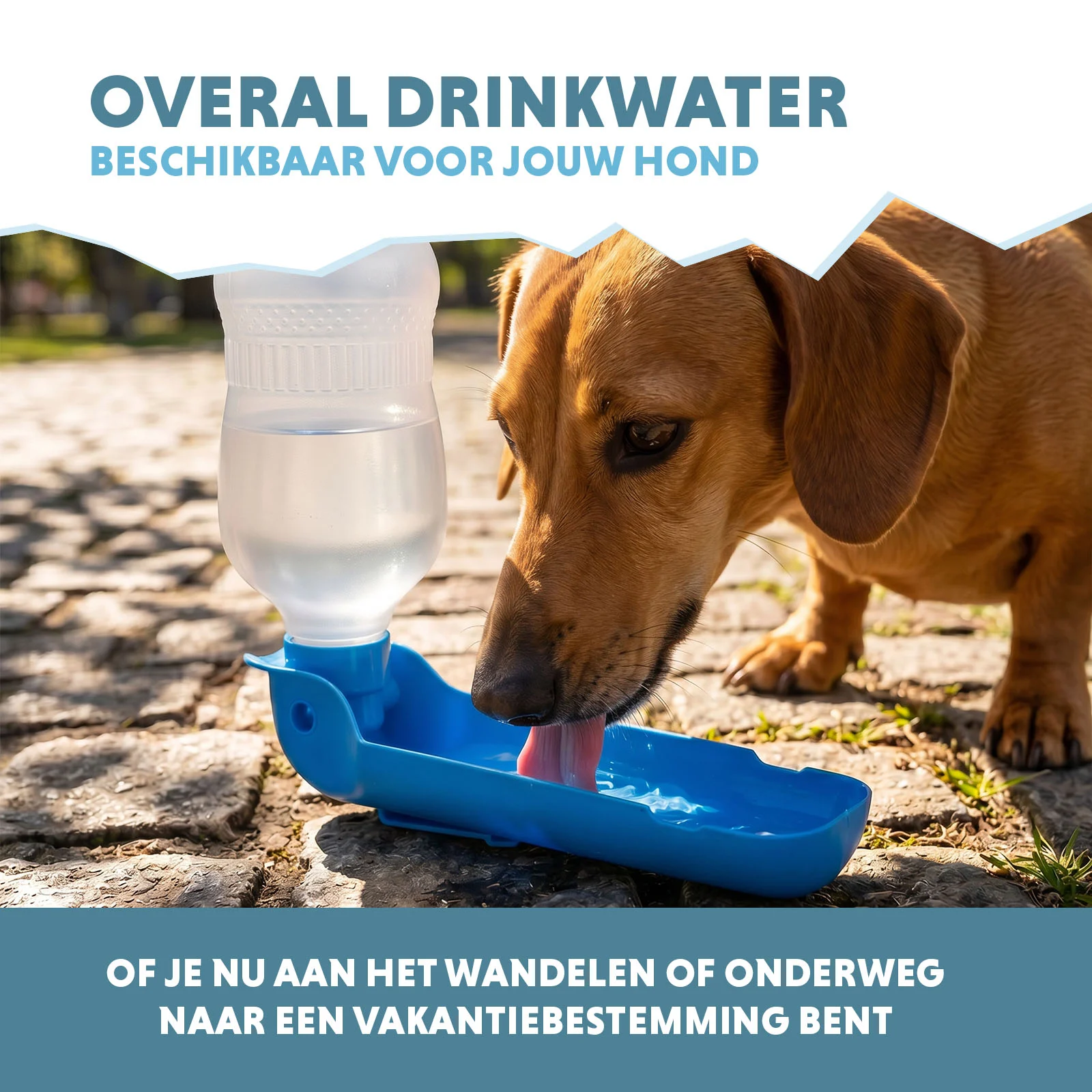 Hondendrinkfles voor Onderweg, 300 ml – Coolpets Fresh 2GO - Afbeelding 4