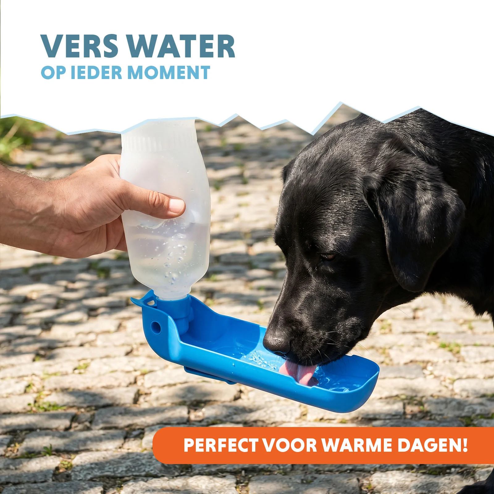Hondendrinkfles voor Onderweg, 500 ml – Coolpets Fresh 2GO - Afbeelding 2