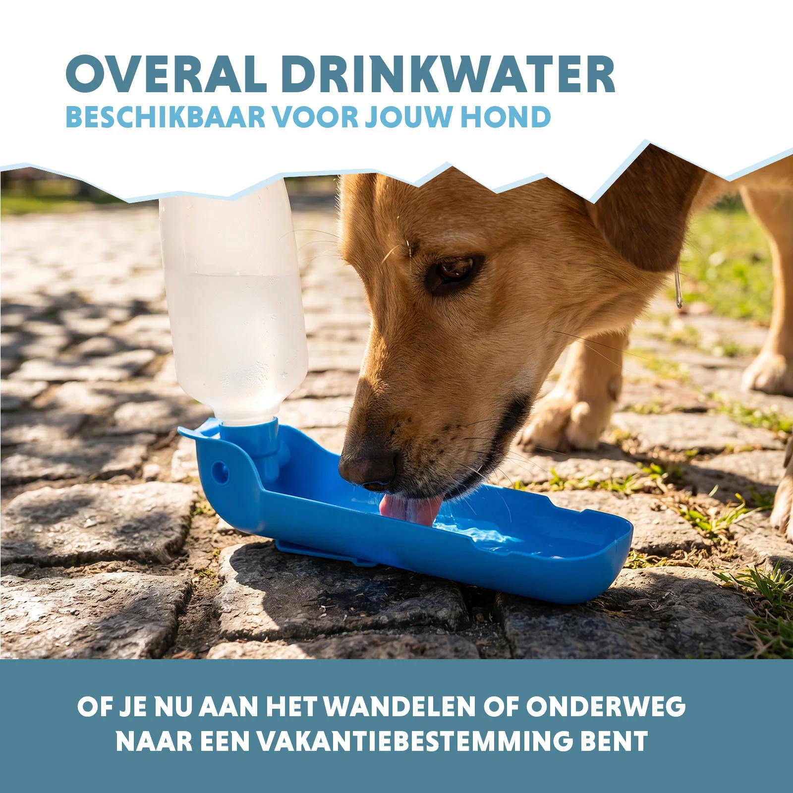 Hondendrinkfles voor Onderweg, 500 ml – Coolpets Fresh 2GO - Afbeelding 4