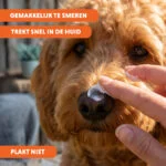 Zonnebrandcrème voor Honden, SPF 30+, 150 g – Coolpets Sunblock Creme - Afbeelding 5