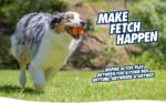 Hondenbal van Rubber, Ø 5 cm, 2 Stuks – Chuckit! Fetch Ball S - Afbeelding 3