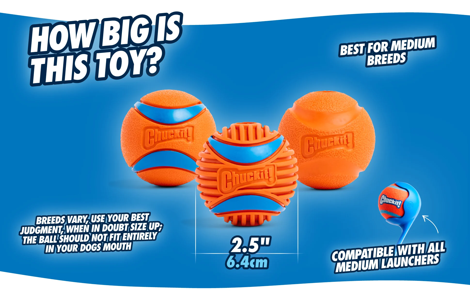 Hondenbal van Rubber, Ø 6 cm, 2 Stuks – Chuckit! Fetch Ball M - Afbeelding 4
