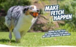 Hondenbal met Piep van Rubber S, ø 5 cm, 1 Stuk – Chuckit! Ultra Squeaker Ball - Afbeelding 6