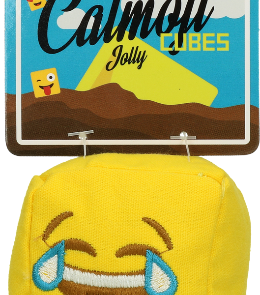 Kattenspeelgoed Kubus met MADNIP, 7 cm – Catmoji Cube Jolly
