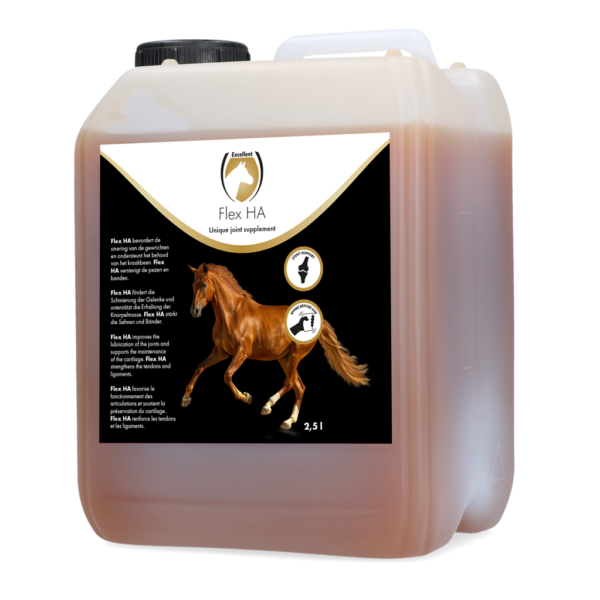 Gewrichtssupplement voor Paarden met Glucosamine en MSM, 2,5 l – Excellent Horse Flex HA