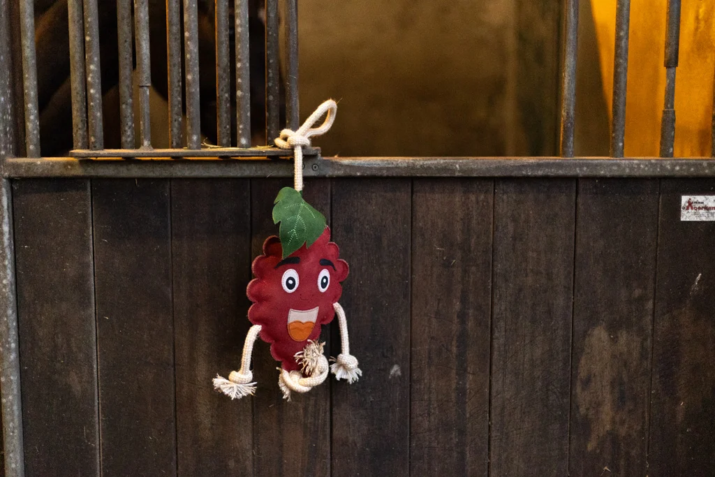 Paardenspeelgoed in Framboosvorm met Jutevulling, 29 x 20 x 5 cm – Excellent Horse Foodie Friends Raspberry - Afbeelding 3