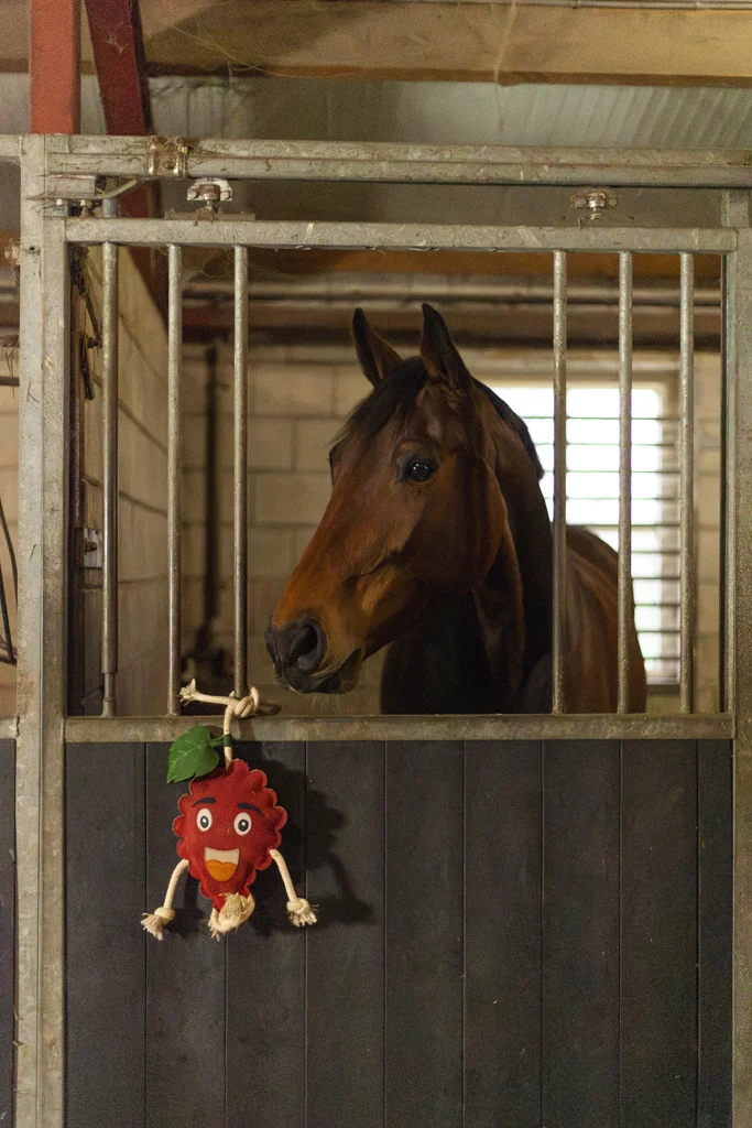 Paardenspeelgoed in Framboosvorm met Jutevulling, 29 x 20 x 5 cm – Excellent Horse Foodie Friends Raspberry - Afbeelding 4