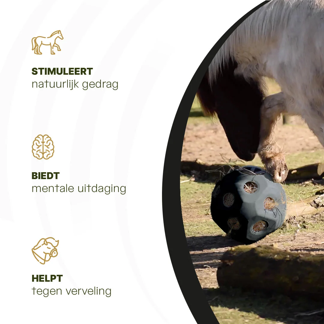 Voerbal voor Paarden met Voeropeningen, Zwart – Excellent Horse Feed & Play Ball - Afbeelding 6