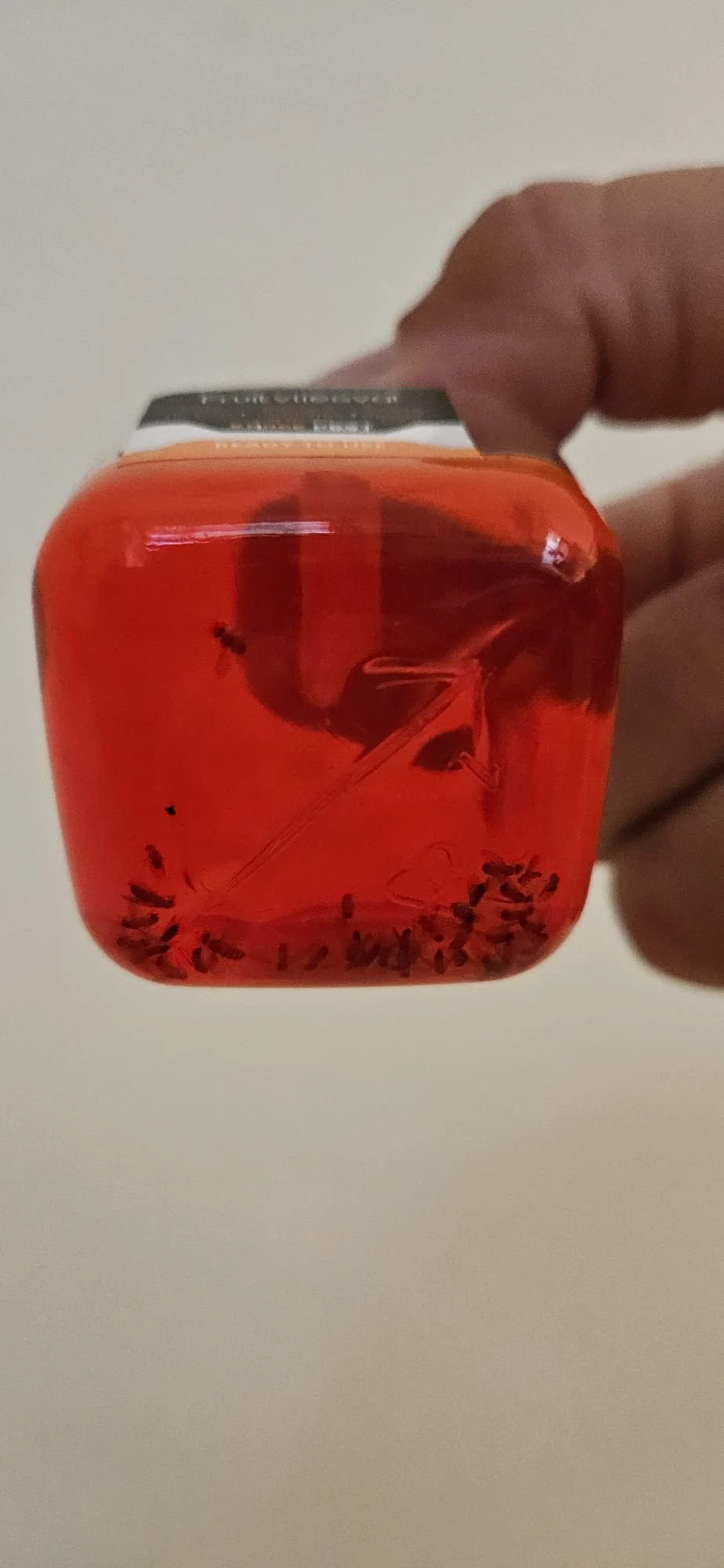 Fruitvliegval voor Binnen, 20 ml – Knock Pest - Afbeelding 3
