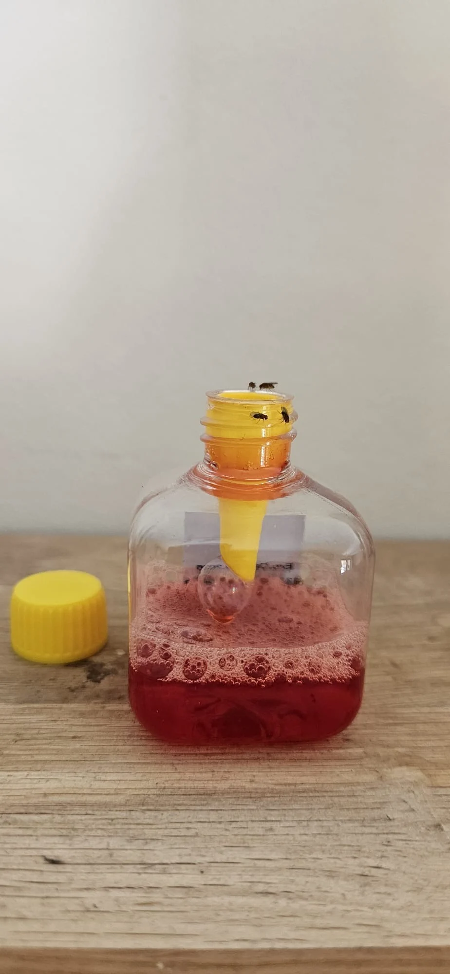 Fruitvliegval voor Binnen, 20 ml – Knock Pest - Afbeelding 4