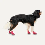 Hondenschoenen met Antislipzool, Waterdicht, Maat XXS, Rood en Zwart, 2 Stuks – Goo-eez Ultras - Afbeelding 2