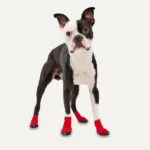 Hondenschoenen met Antislipzool, Waterdicht, Maat XXS, Rood en Zwart, 2 Stuks – Goo-eez Ultras - Afbeelding 3