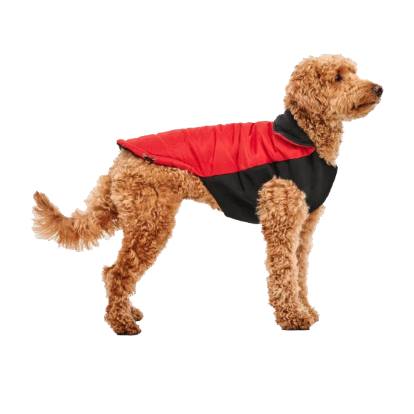 Hondenjas met Pluche Voering, Waterafstotend, S, 40 cm Ruglengte, Rood en Zwart – Goo-eez Mock Neck Signature Wrap Jacket