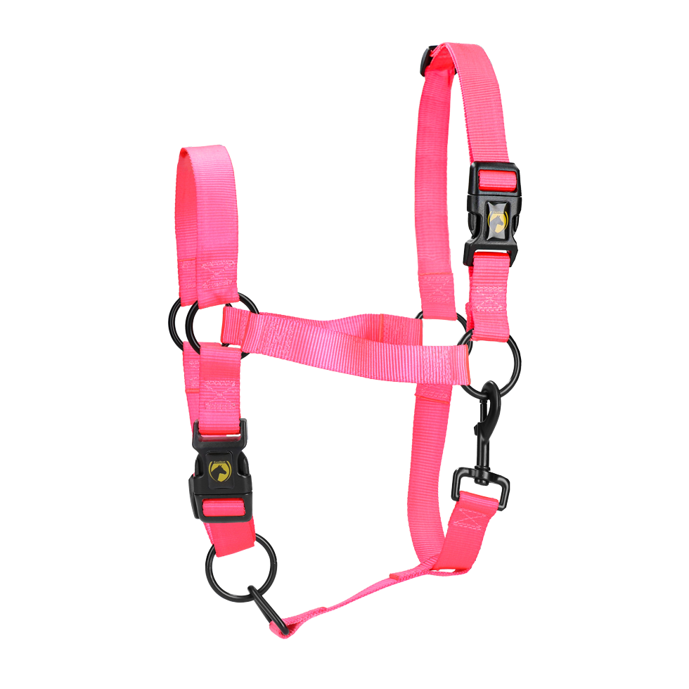 Halster van Nylon met Verstelbare Neusriem en Kopstuk, Roze XS – Excellent Essential Halster van Nylon met Verstelbare Neusriem en Kopstuk, Roze XS – Excellent Essential