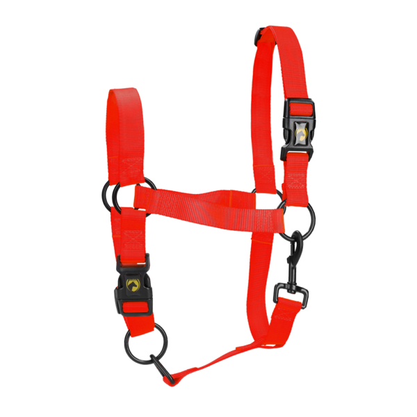 Halster van Nylon met Verstelbare Neusriem en Kopstuk, Rood S – Excellent Essential