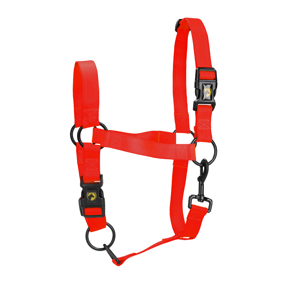Halster van Nylon met Verstelbare Neusriem en Kopstuk, Rood S – Excellent Essential Halster van Nylon met Verstelbare Neusriem en Kopstuk, Rood S – Excellent Essential