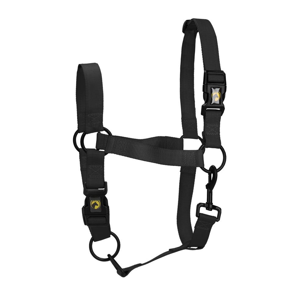 Halster van Nylon met Verstelbare Neusriem en Kopstuk, Zwart M – Excellent Essential Halster van Nylon met Verstelbare Neusriem en Kopstuk, Zwart M – Excellent Essential