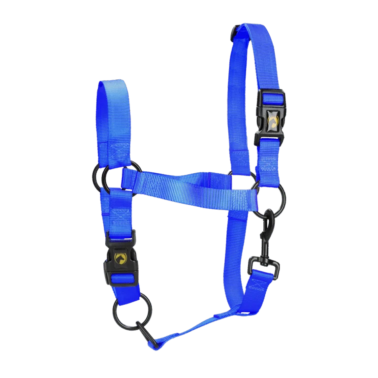 Halster van Nylon met Verstelbare Neusriem, Blauw L – Excellent Essential