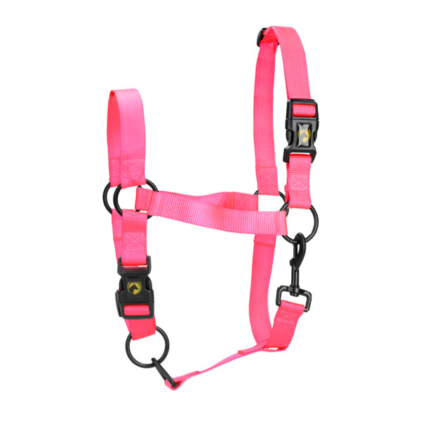 Halster van Nylon met Verstelbare Neusriem en Kopstuk, Roze L – Excellent Essential
